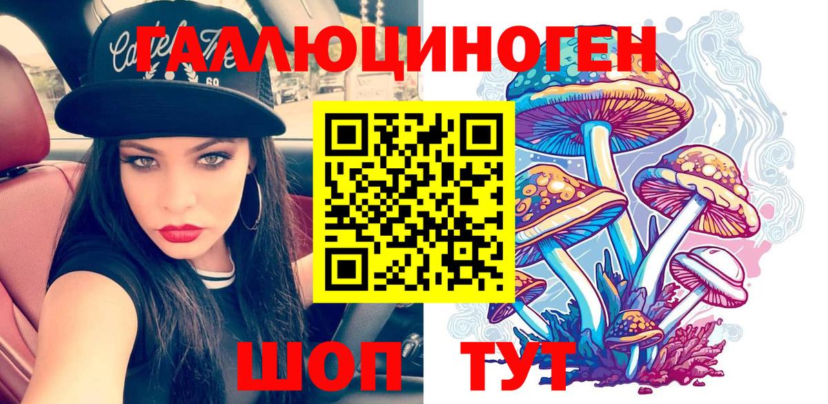 Знаменск  Галлюциногенные грибы прущие грибы  Вход с VPN 